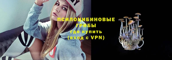 трава Аркадак