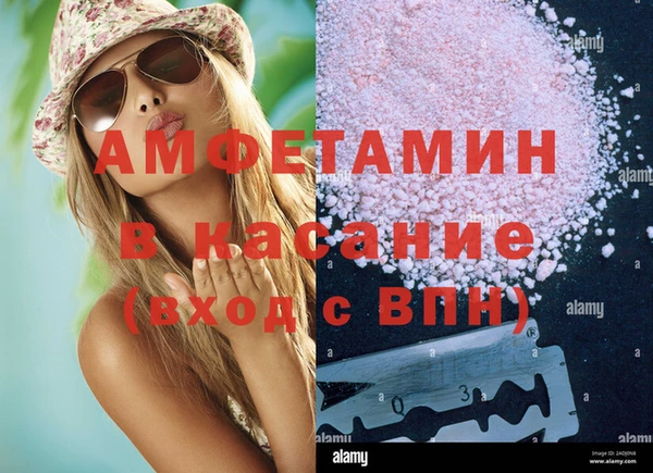 прущие грибы Сатка