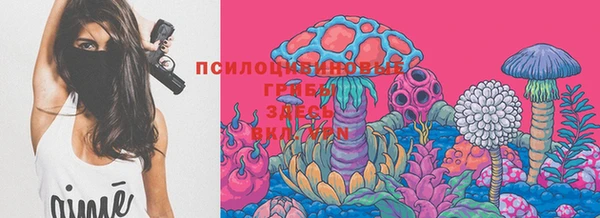 трава Аркадак